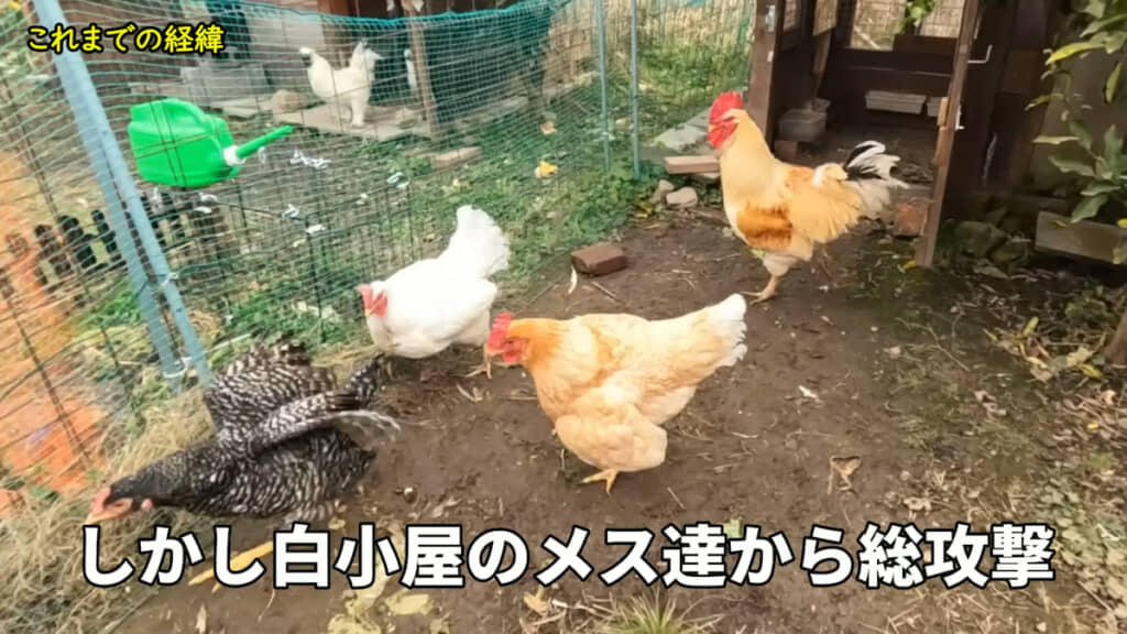 総攻撃を受けて追放されてしまう