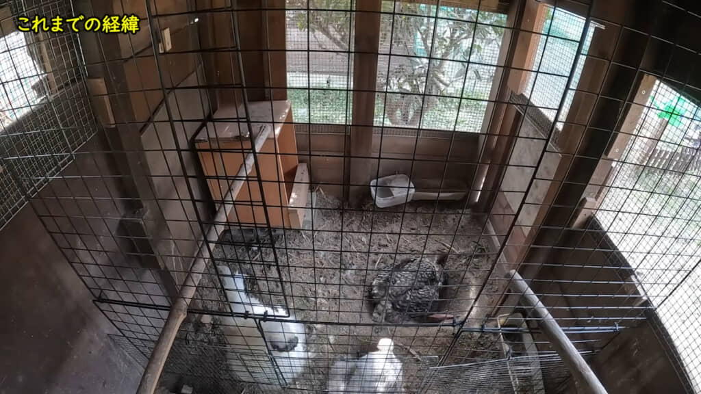 同時に砂浴びする場面も