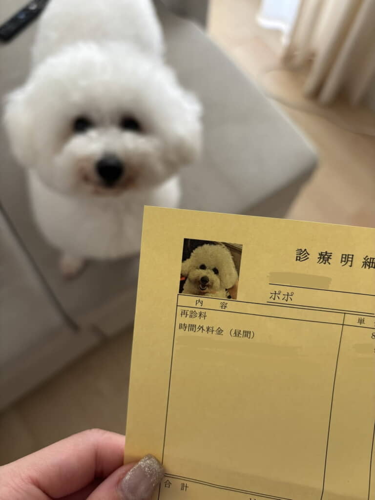 すてきな仕上がりにポポちゃんも誇らしげ