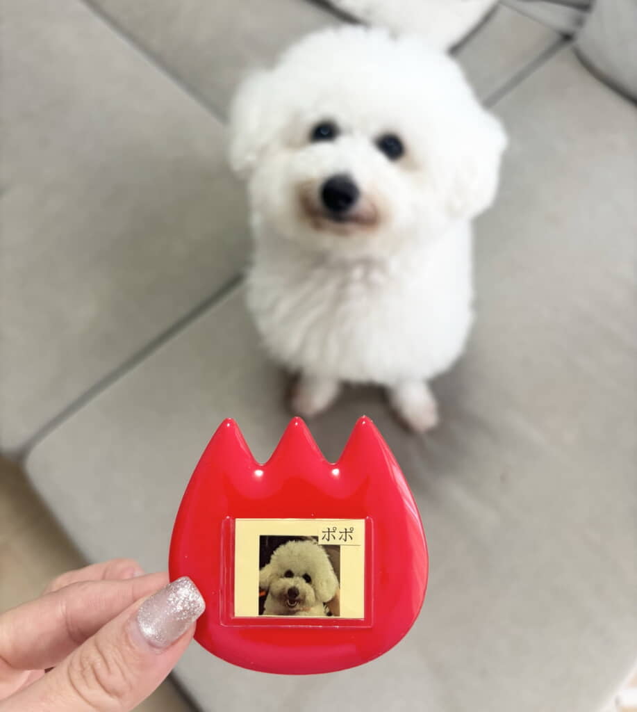 明細書の写真は名札に入れて保存しました！