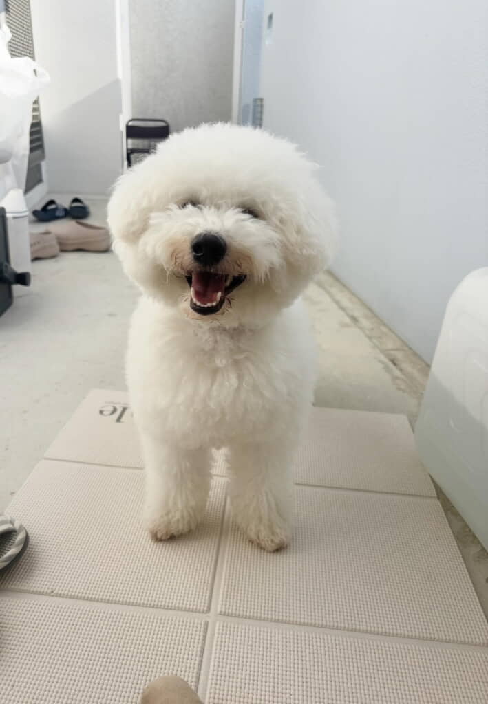ニコニコ笑顔がかわいすぎる