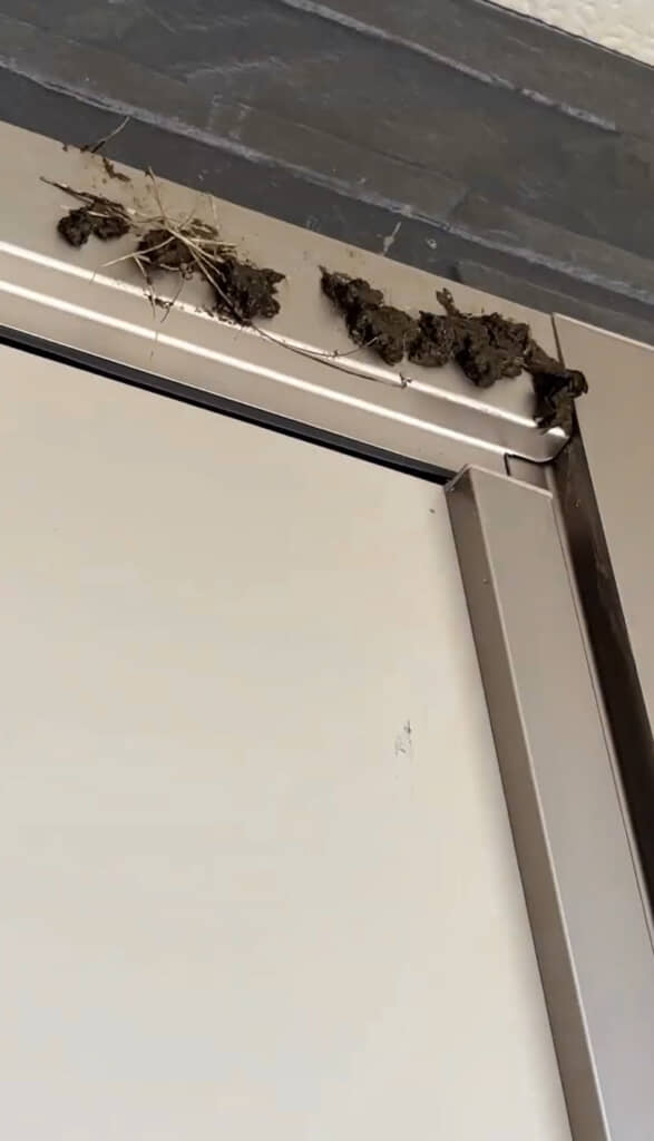 この汚れは一体……?