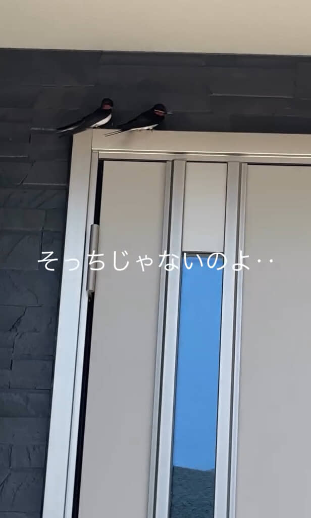 使ってくれるだろうか……
