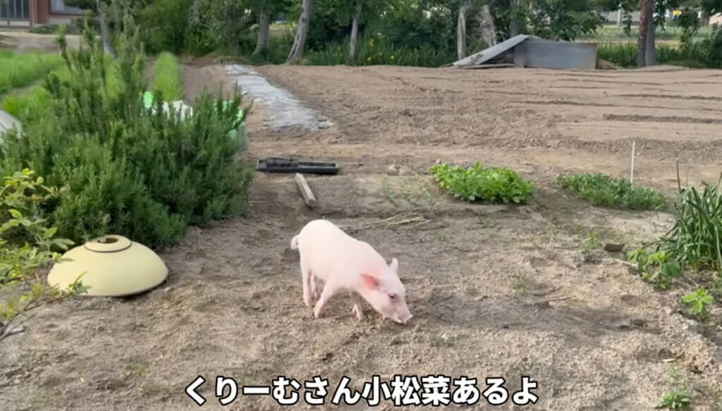 別方向へ歩き出す