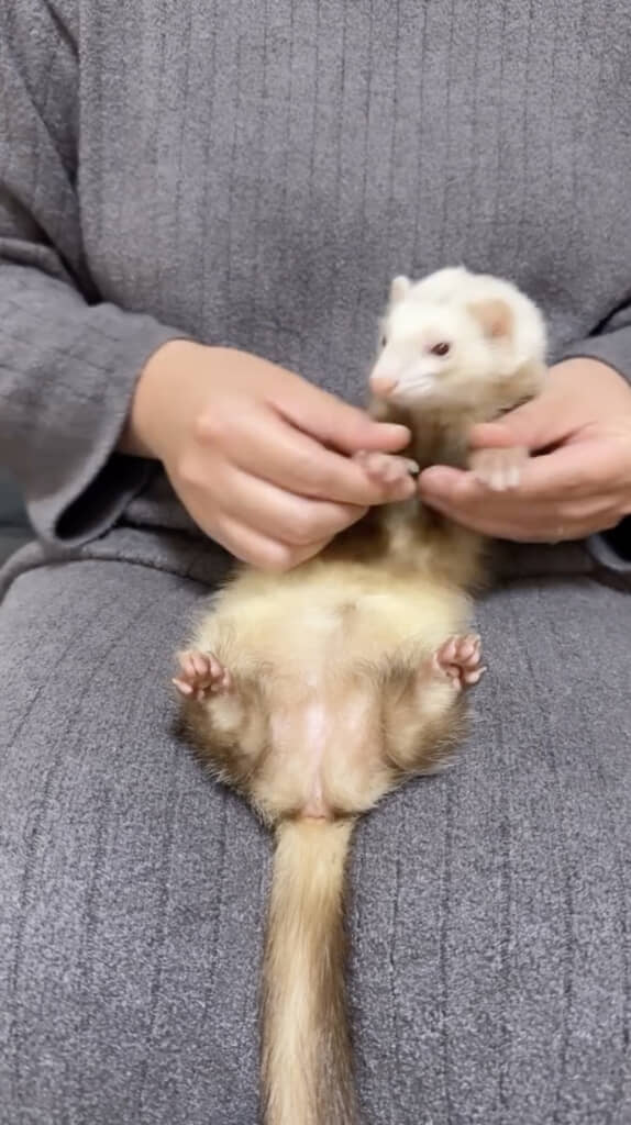 キレッキレです