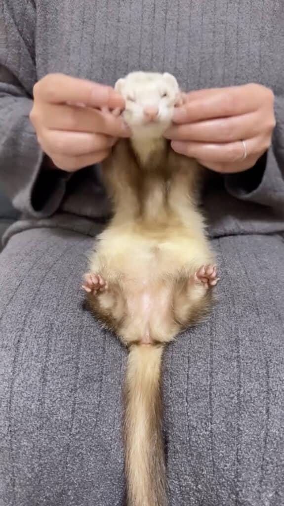 かわいすぎる！