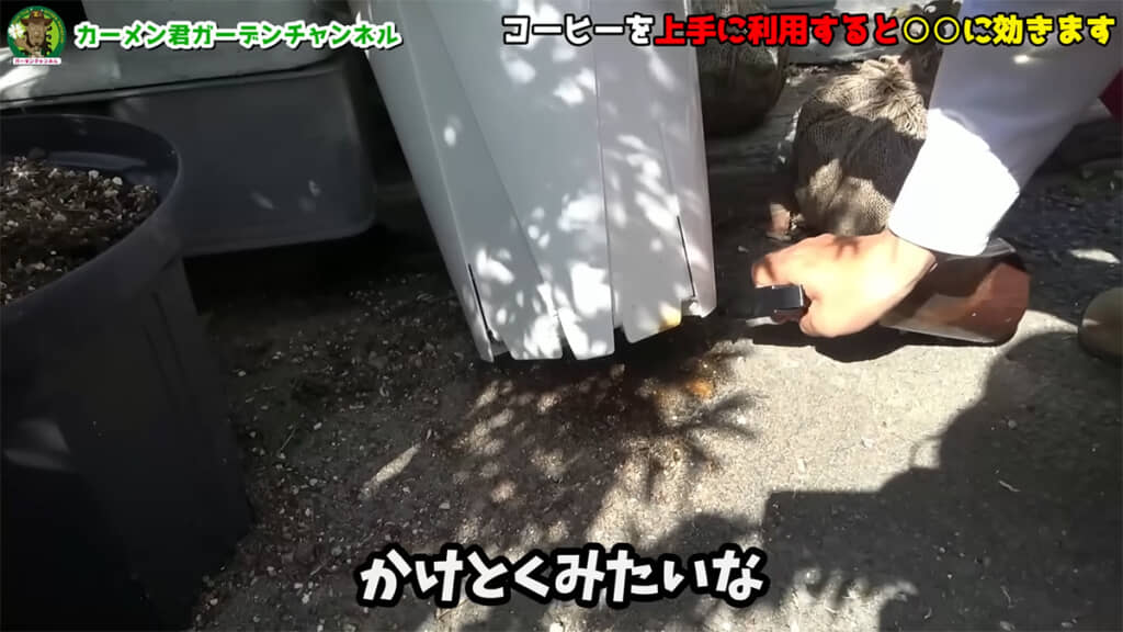 鉢底やナメクジがいそうな場所、ナメクジ自体にかけると効果がありそうです