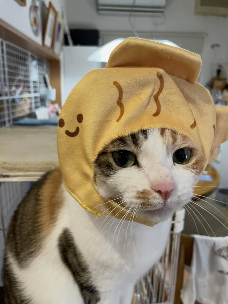 今では甘える側に◎