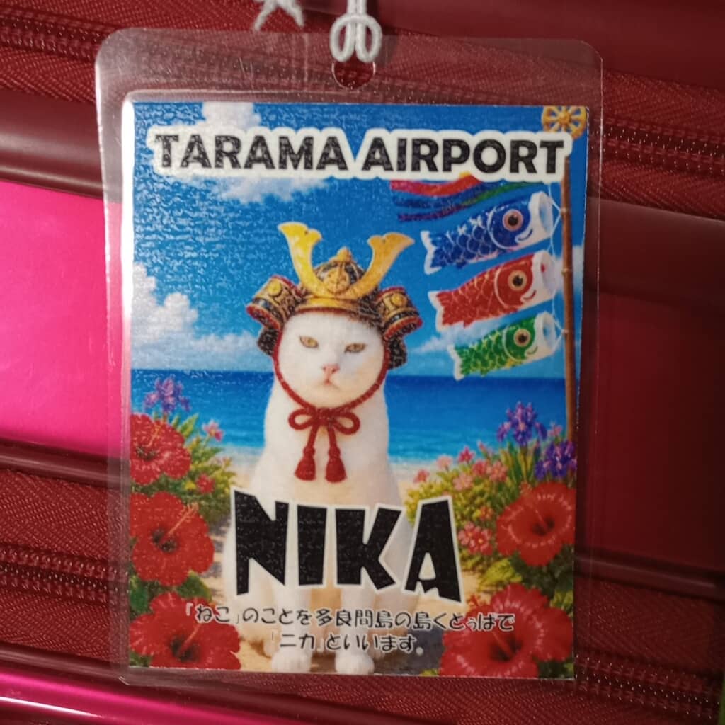 多良間空港のラゲッジタグ「NIKA」。兜をかぶった白猫と青い海・ハイビスカス・こいのぼりのイラスト