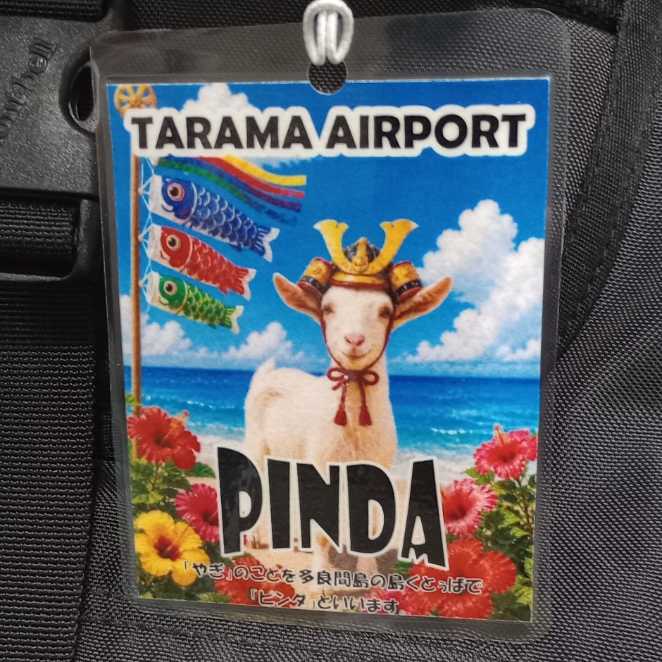 多良間空港のラゲッジタグ「PINDA」。兜をかぶった白ヤギと青い海・ハイビスカス・こいのぼりのイラスト
