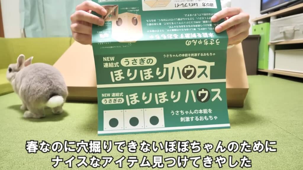 ぽぽちゃんに「うさぎのほりほりハウス」を購入