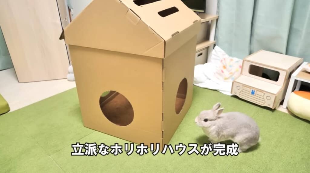 あっという間にほりほりハウスが完成！