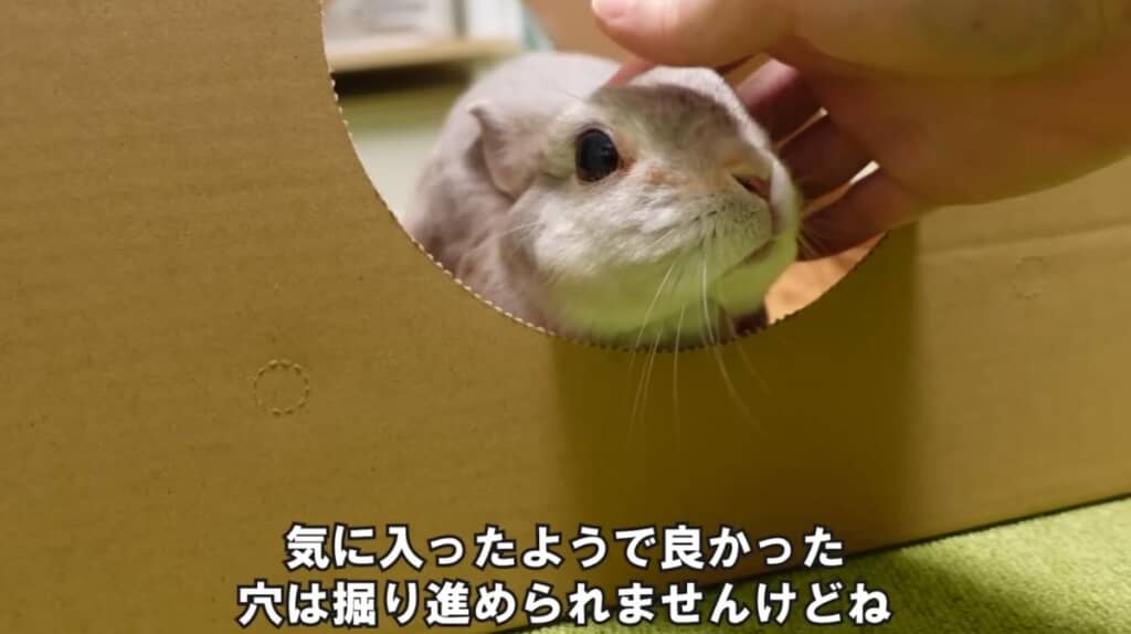 気に入ってくれたようです