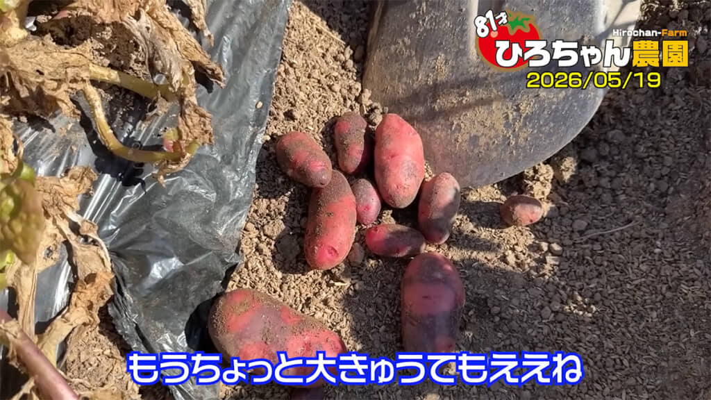 デストロイヤーはもう少し置いておきます