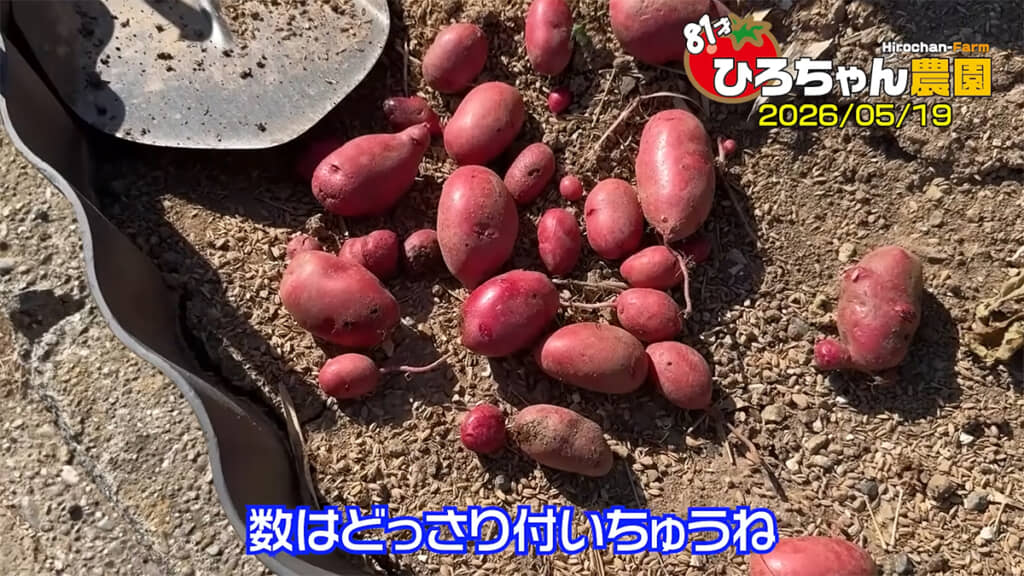 レッドムーンはもう少し置いておきます