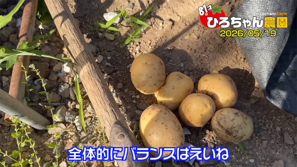 出島はいい感じでした