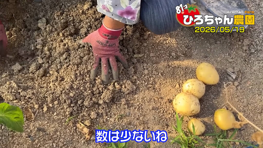 アイマサリはつるボケかもしれません
