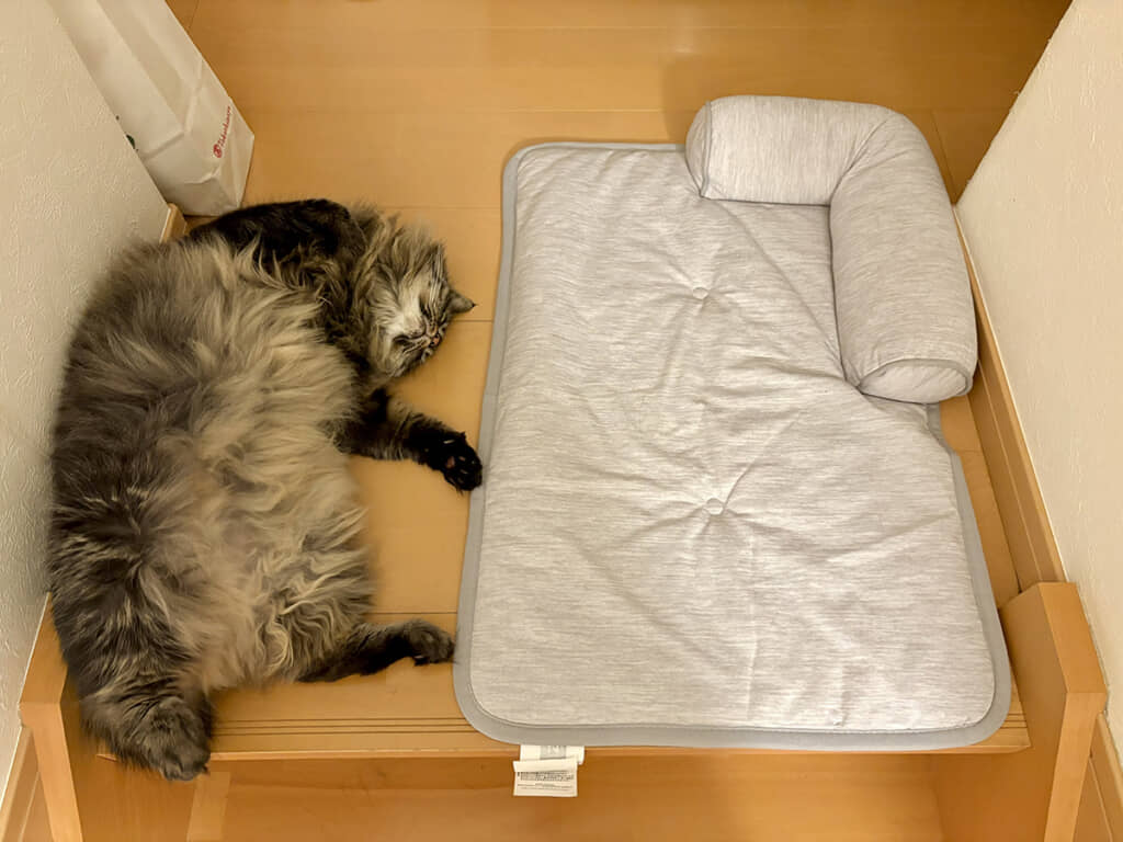 その上で寝てほしいのに……！