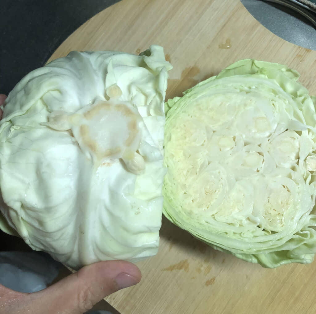 なんだこれ!?