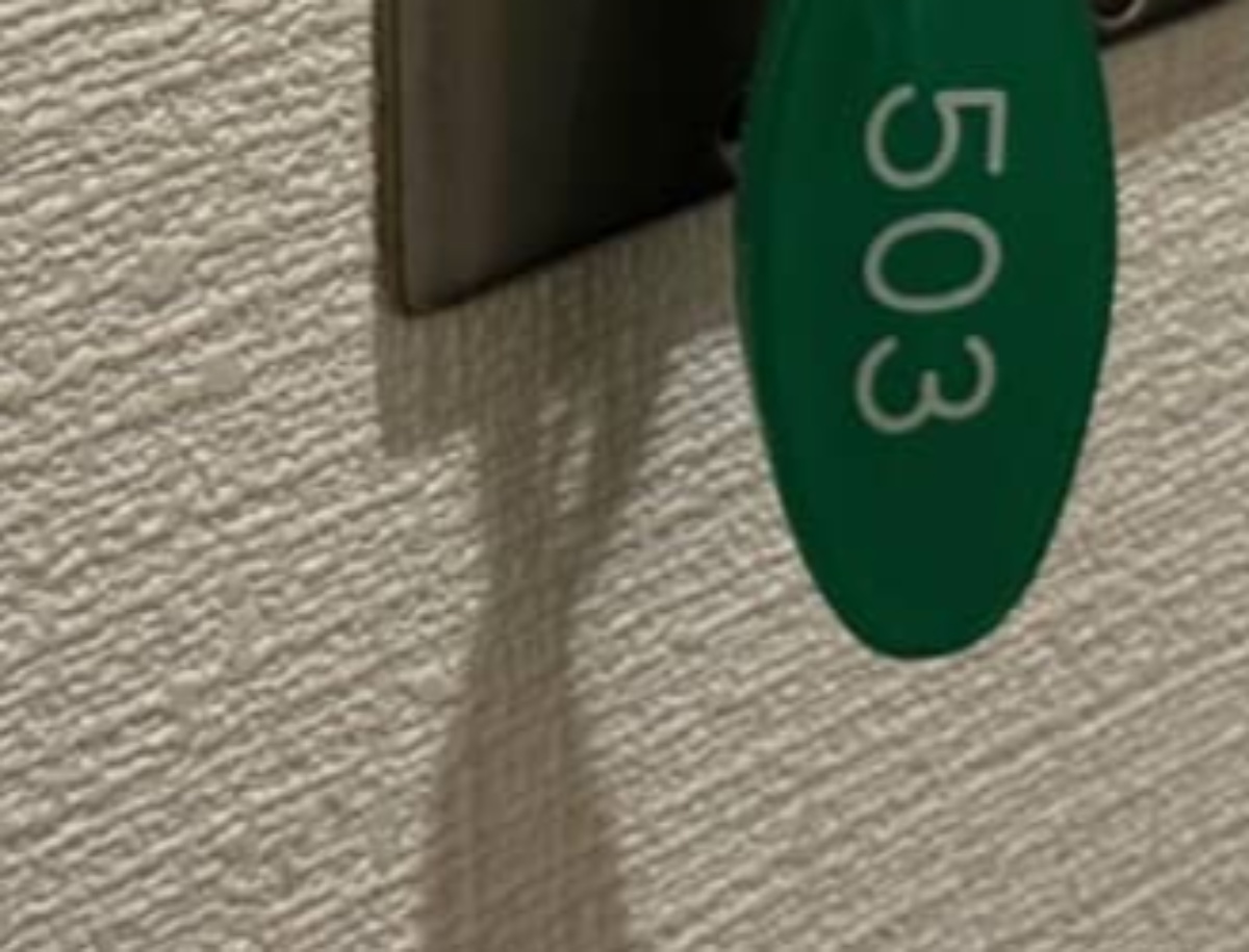 ホテルの電気をつけようとしたら……「初めて見た」　“分かる人には分かる”光景へ「大昔はコレだった」「テンション上がりますね」（1/3） | ライフスタイル ねとらぼ