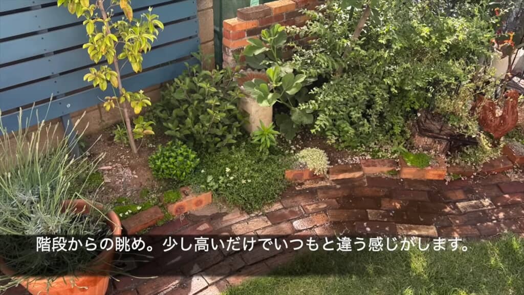 植物に興味がない50代女性がガーデニングDIYに挑戦