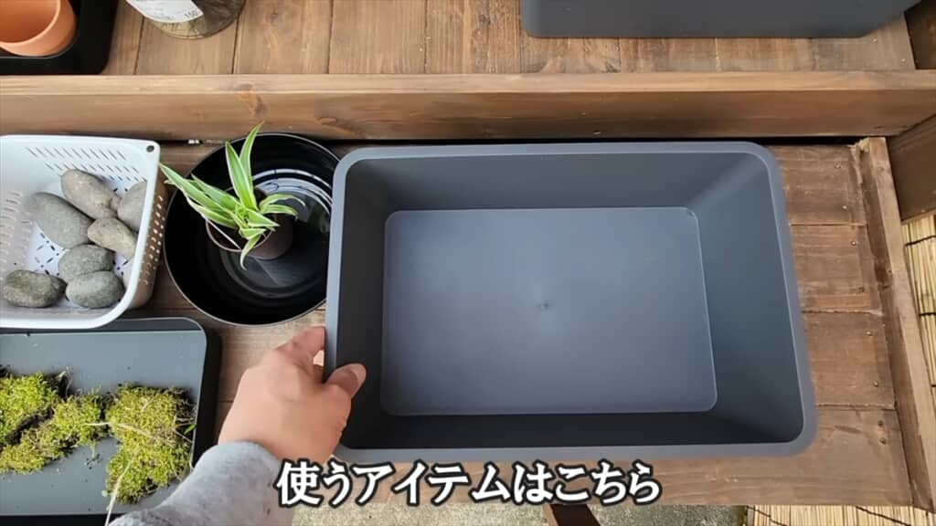 ダイソーの収納ボックスで作る簡単ビオトープ