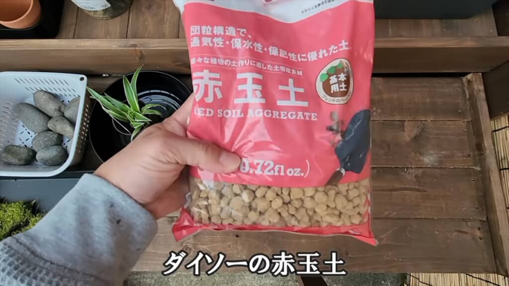 ダイソーの収納ボックスで作る簡単ビオトープ
