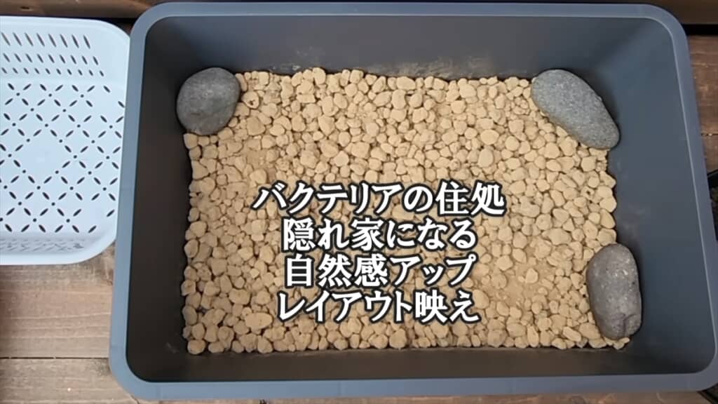ダイソーの収納ボックスで作る簡単ビオトープ