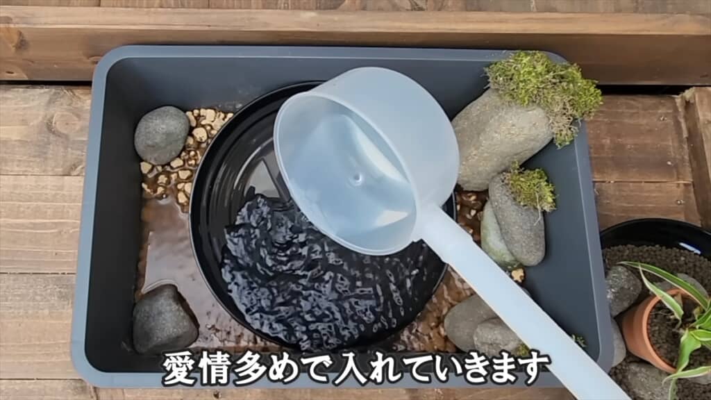 ダイソーの収納ボックスで作る簡単ビオトープ