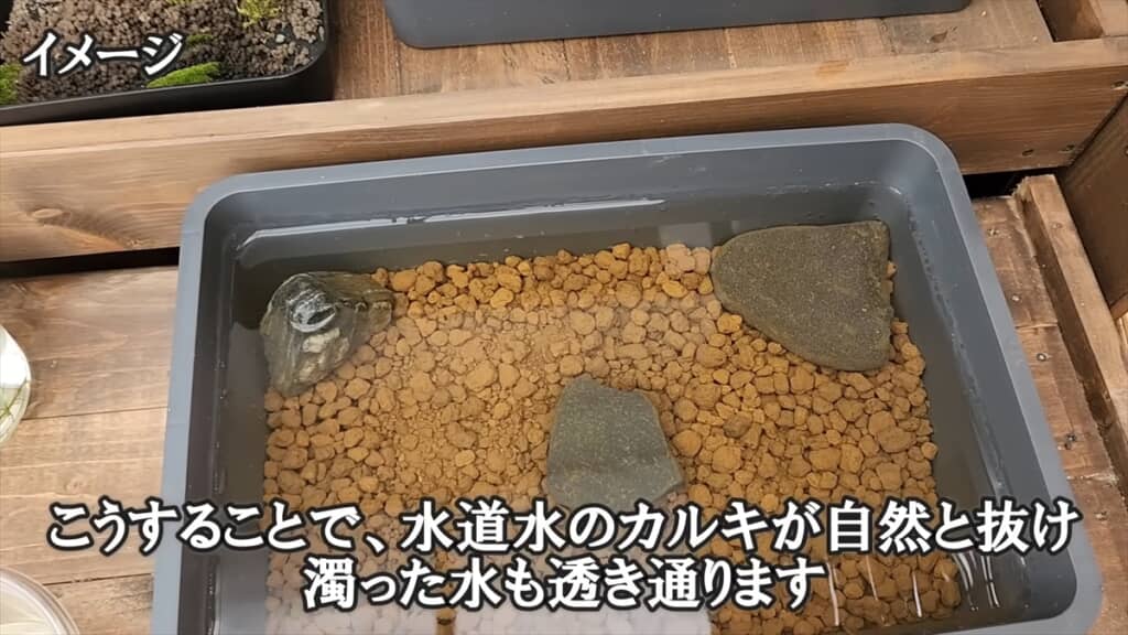 ダイソーの収納ボックスで作る簡単ビオトープ