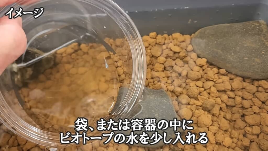 ダイソーの収納ボックスで作る簡単ビオトープ