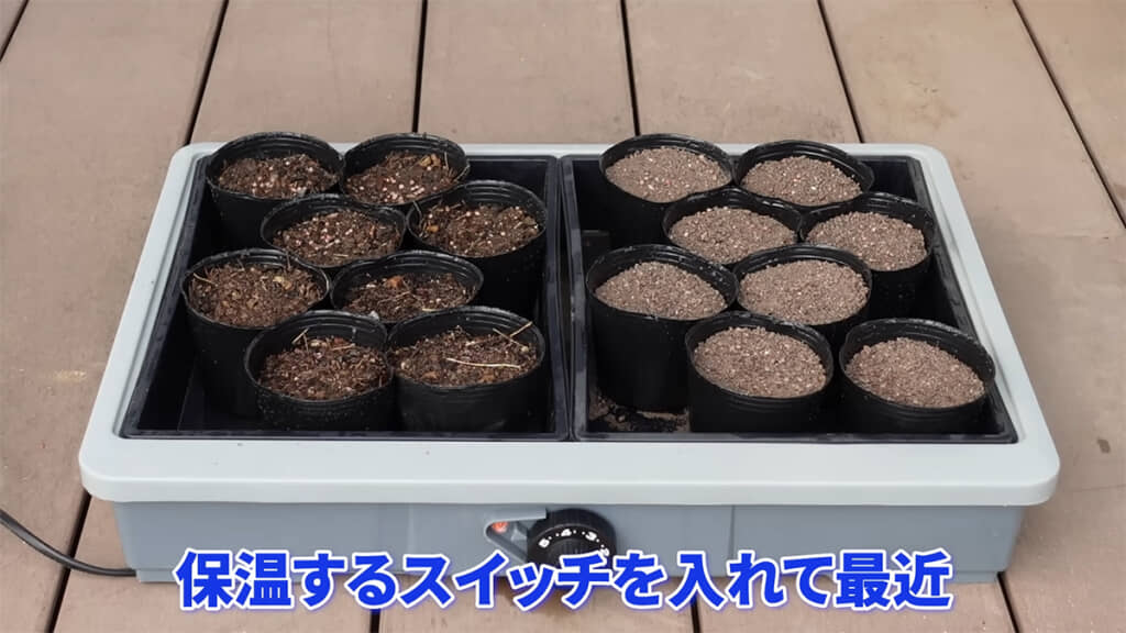 普通の土と人工砂に種をまいてみます