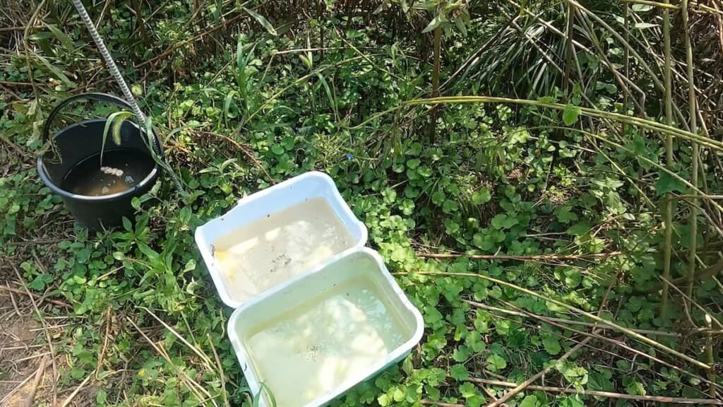 かつおぶしさんは近くの川から水を汲んできました
