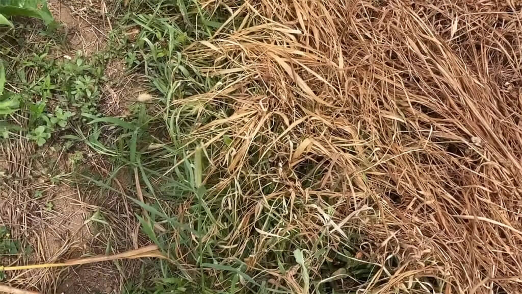 きちんと熱がこもらないと、効果が薄くなってしまうようです