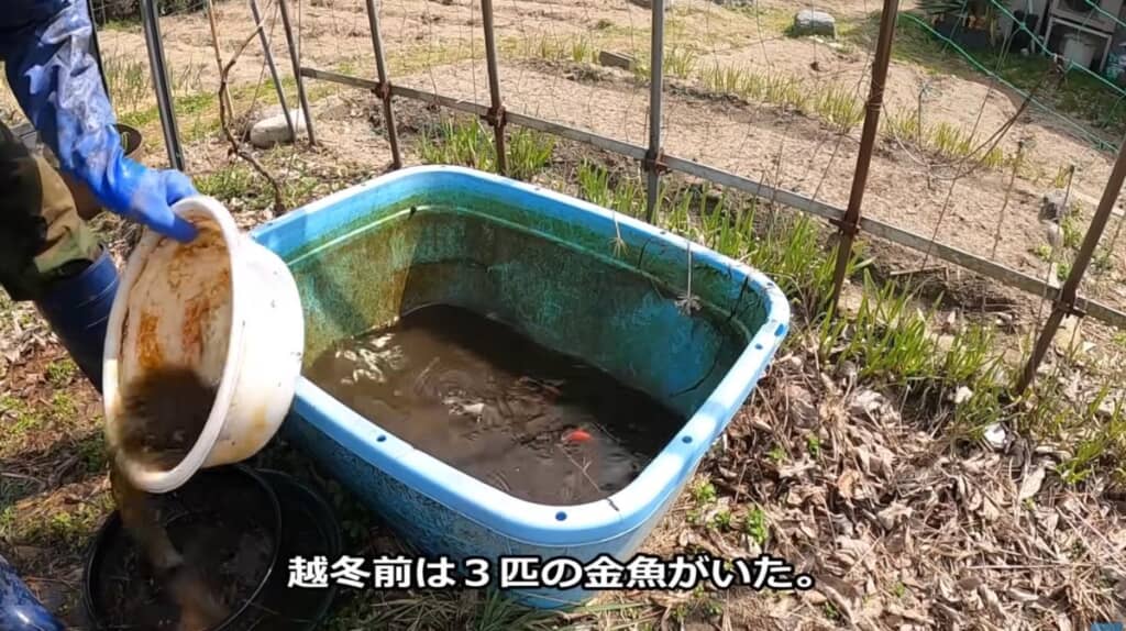 赤い体がチラリ