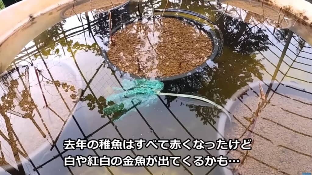 どんな子が生まれてくるのかな？