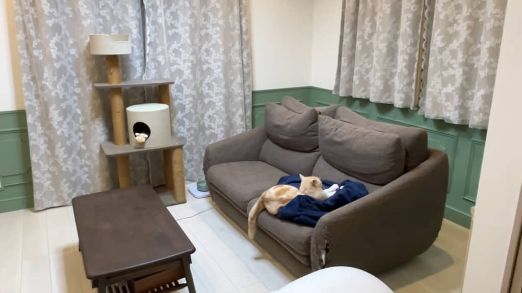 建売住宅とは思えないリビングに