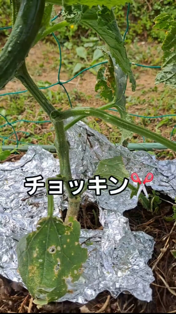 心が痛む瞬間……