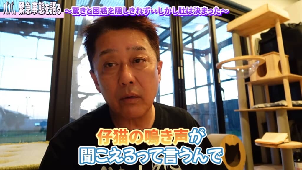 竹藪の中に横たわる子猫を保護した坂上忍