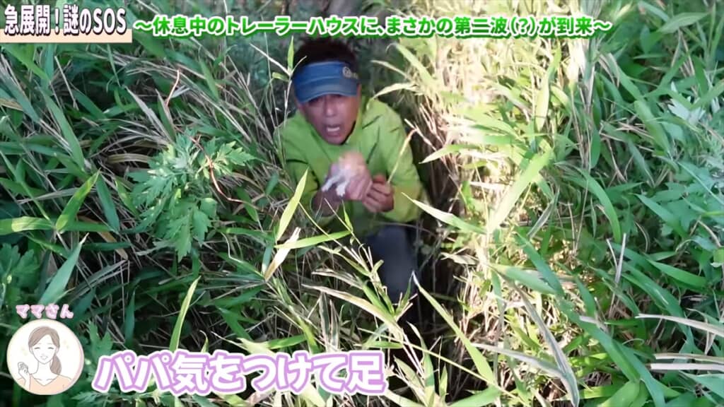 竹藪の中に横たわる子猫を保護した坂上忍