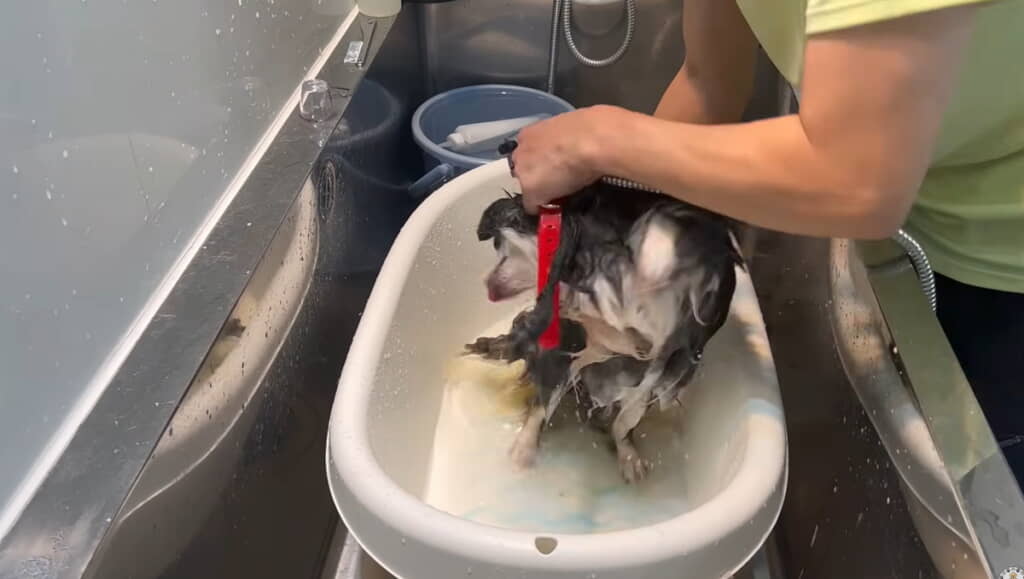体をのけぞらせる場面も
