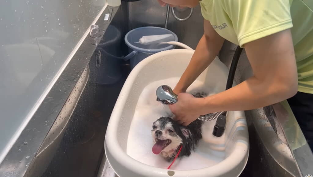 だんだん気持ちよくなってきたかな？