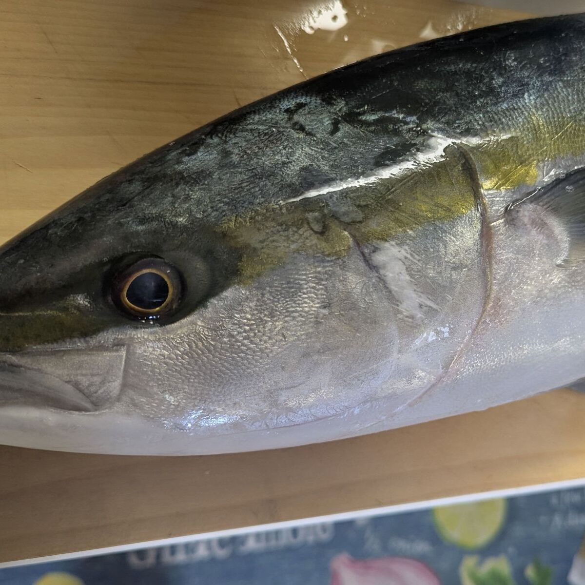 ずっしりとした大きなハマチ→包丁を入れたら腹から…… 思わぬ中身に「鳥肌立ちました」「一瞬ラッキーじゃんと思ったけど……」 | その他生き物 ねとらぼ