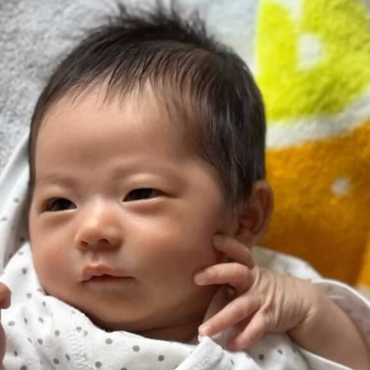 生まれたての赤ちゃん→たった3カ月後……　信じられない激変姿に「こんなに変わる！？」「急にですか？」（1/3） | 教育・子育て ねとらぼ