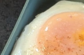 買い物に行く暇もない母が作ったお弁当は……