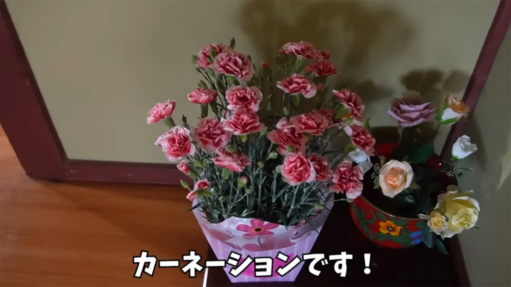 実家の母親がもらったカーネーション、美しく咲いています