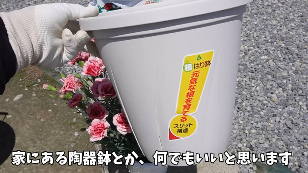鉢の種類はなんでもOK