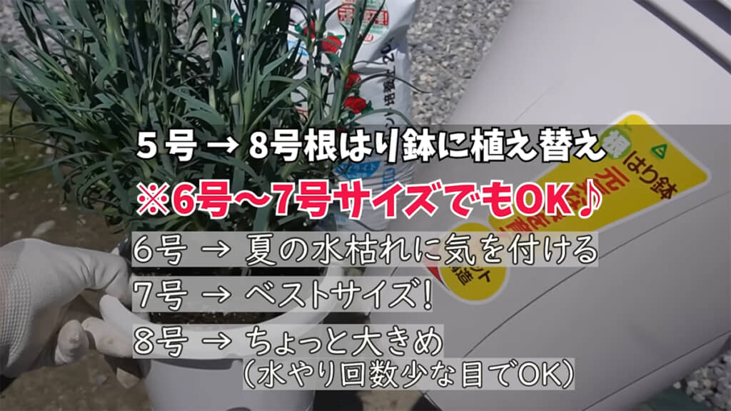 鉢のサイズもお好みで
