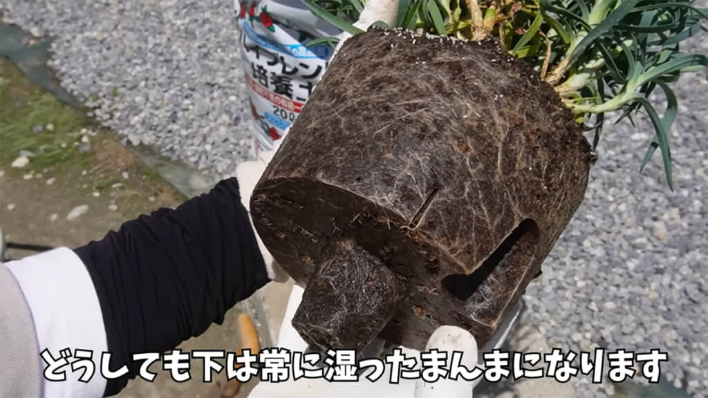 底面給水のため、下の方は湿った状態になっていました