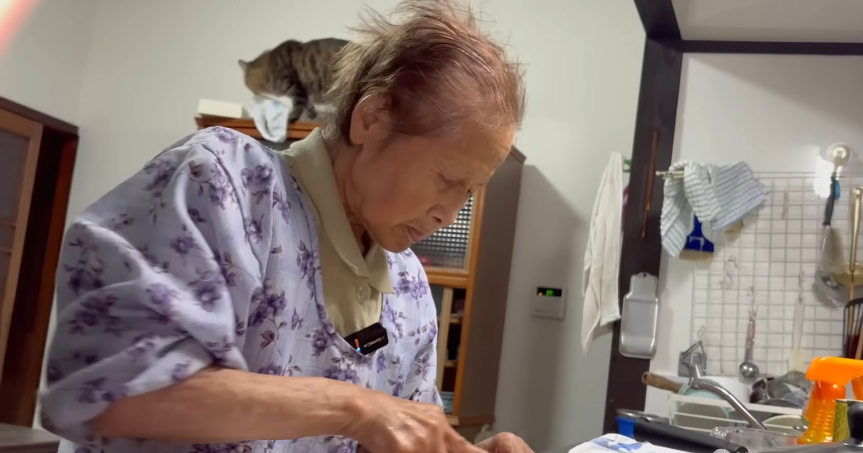 94歳“きのえおばあちゃん”が夕食を作ったら…… 驚きの食卓に「野菜たっぷりなメニューがいいですね」「見習いたいです」(1/3) | グルメ ねとらぼ